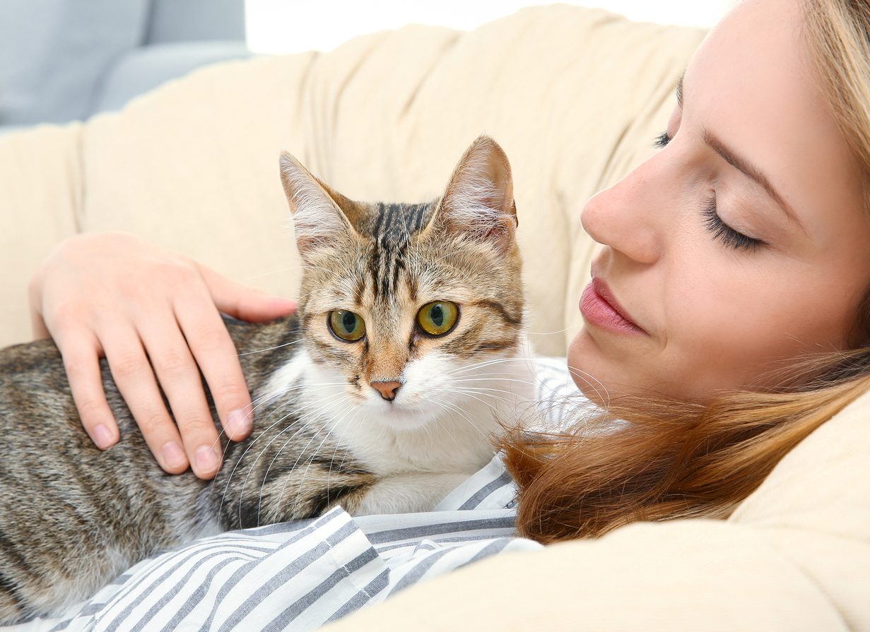 How to Help Your Pet Deal With Separation Anxiety Fetch
