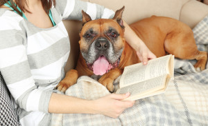 Cute dog and girl lying on sofa, on home interior background
