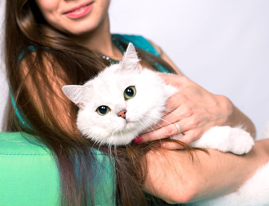 Teaching Kids About Responsible Pet Care