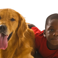 A list of the best dogs for kids from Fetch! Pet Care.
