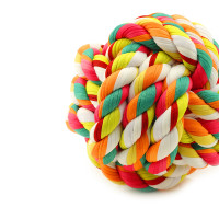 DIY Dog Toys and Treats