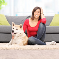 7 Great reasons to become a pet sitter