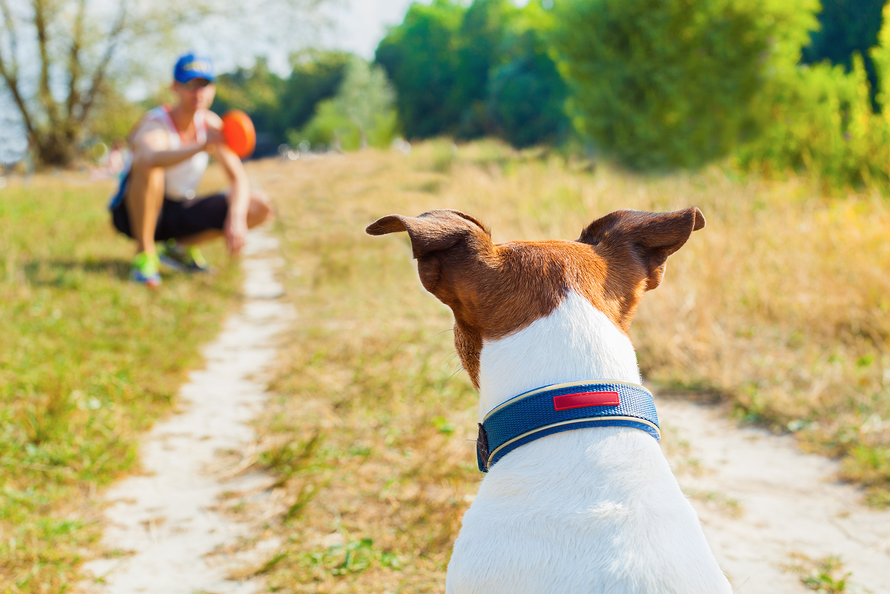 fun ways to exercise