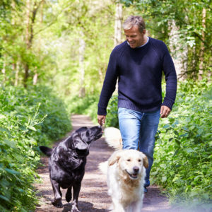 how many times a day does a puppy we want to how many times a day do you walk your fetch pet care how many times a day does a puppy we want to how many times a day do you walk your fetch pet care