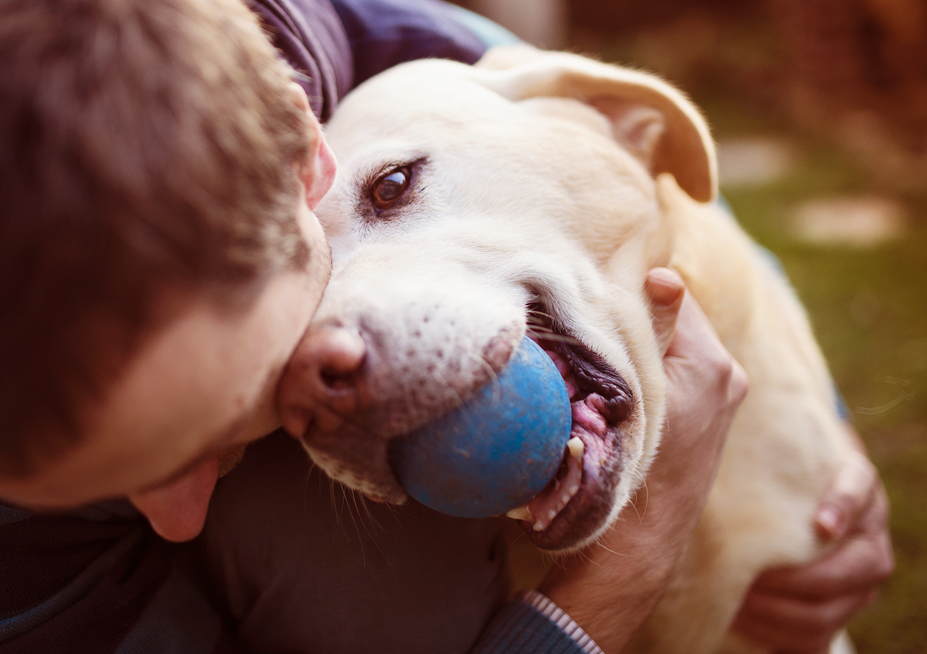 dog separation anxiety