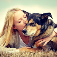 pet adoption