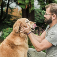 healthy dog