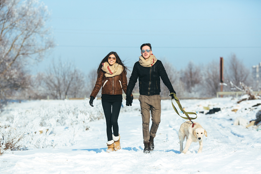 Young couple in love walking with dog outdoors in snowy winter