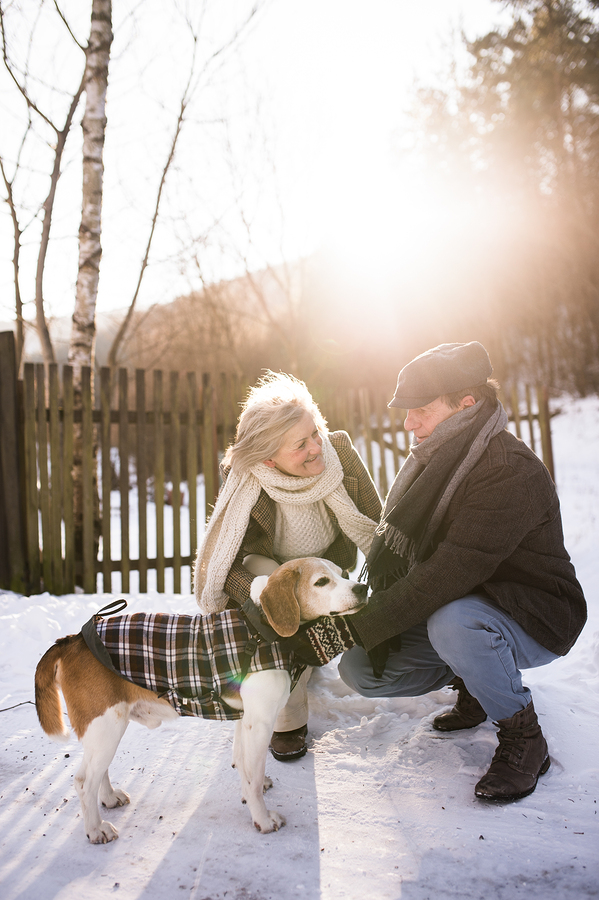 Beautiful senior woman and man on a walk with their dog in sunny winter nature.