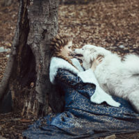 The woman in blue coat walk with a dog
