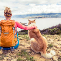 man's best friend