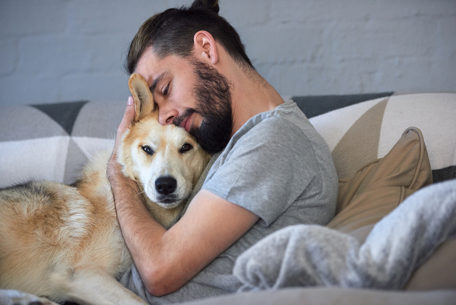 5 Stories That Prove Why Dogs Are Man's Best Friend - Fetch! Pet Care