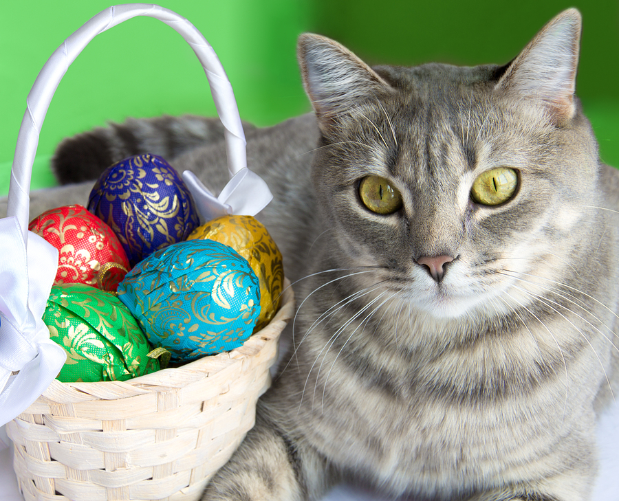 easter pet safety