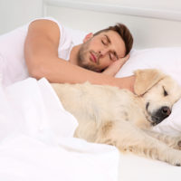 dog's bedtime prayer