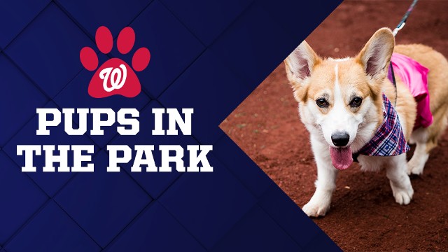 Pups in the Park