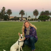 dog training