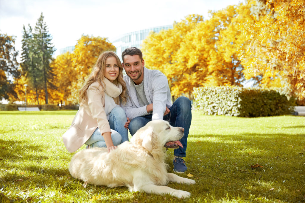 Fetch! Pet Care, pet franchising opportunity