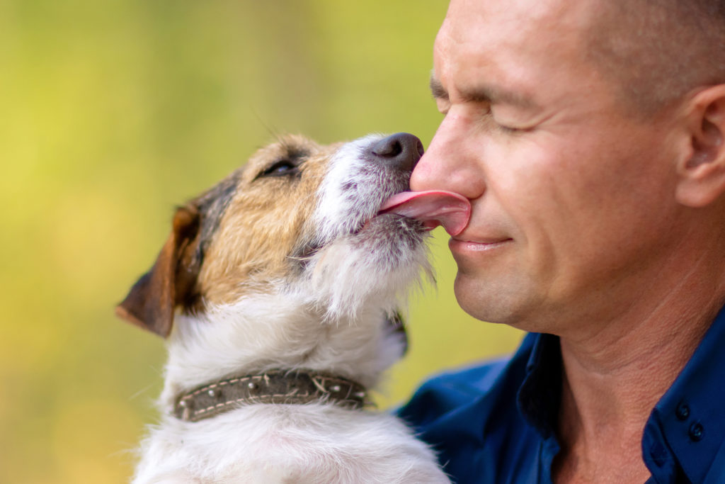 Dog kiss man on nose