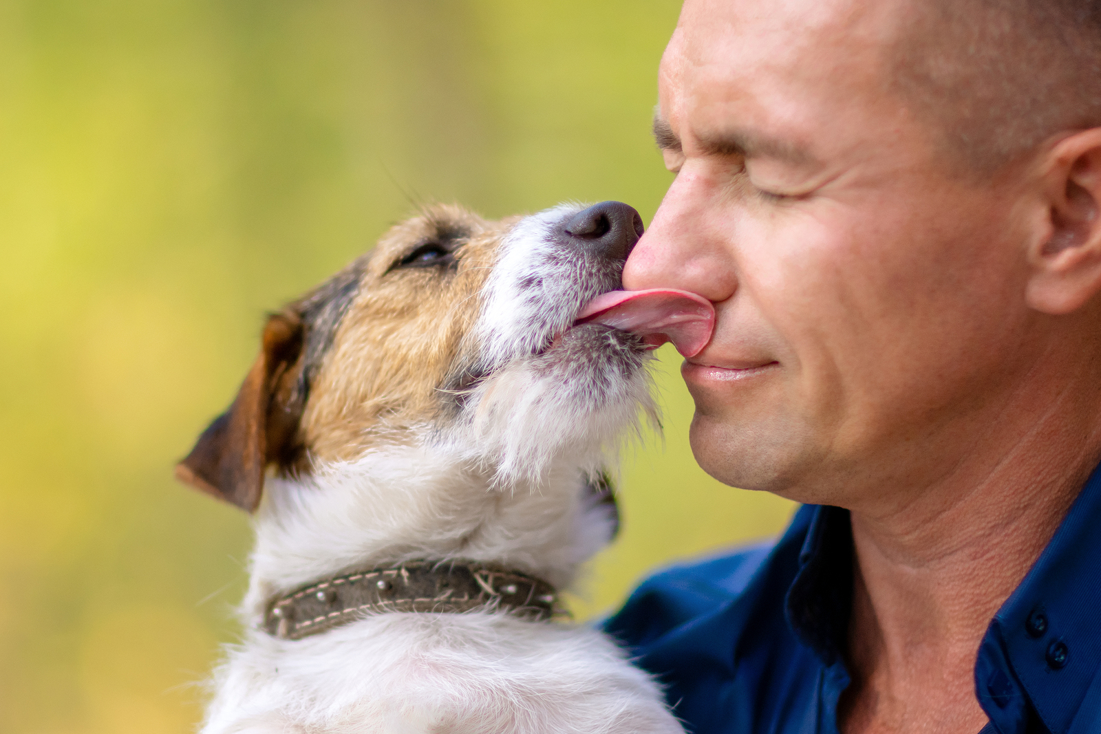 Kiss your dog today! #dogs #foxterriers #smartdogjerky # 