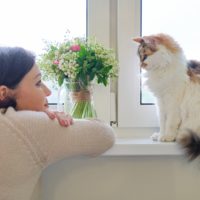 Connect with cat by talking to it