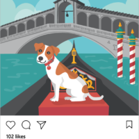 dog instagram