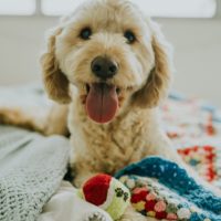jay-wennington-393137-unsplash