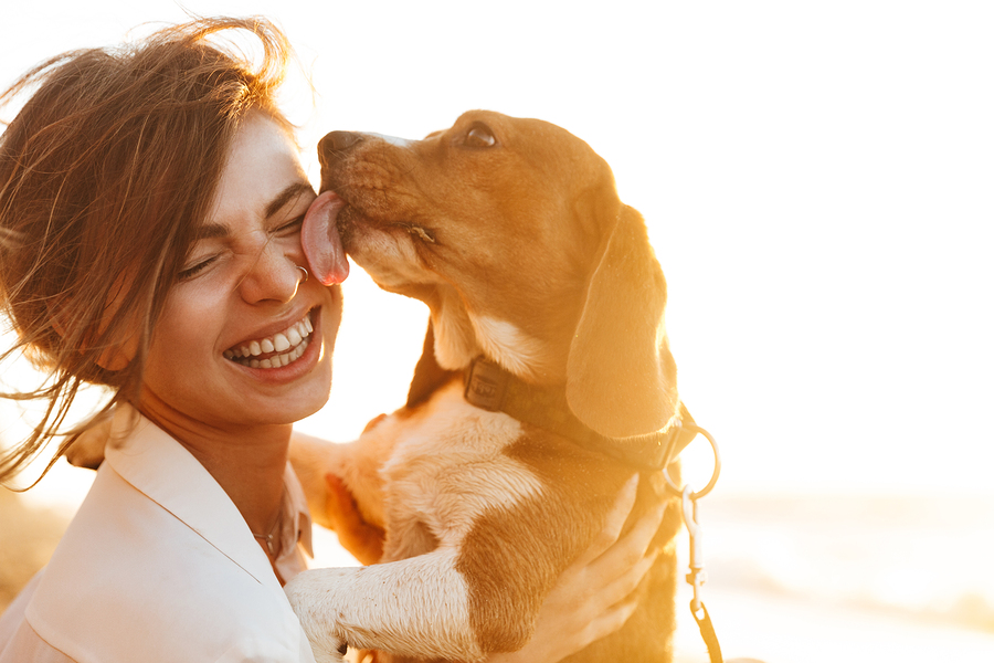 Image of happy woman 20s hugging her dog while sitting on sand by seaside
