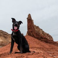 patrick-hendry-607509-unsplash