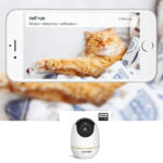 Netvue Cat