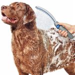 Waterpic Dog Shower Wand Pet Product
