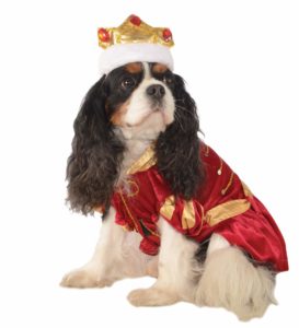 Royalty Pet Costume
