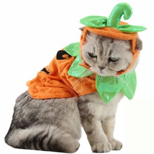 Pumpkin Pet Costume