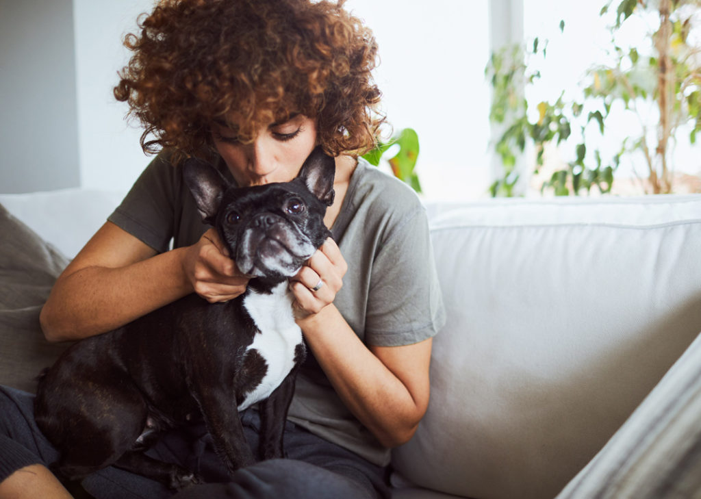 Fetch Pet Care Dog Walking