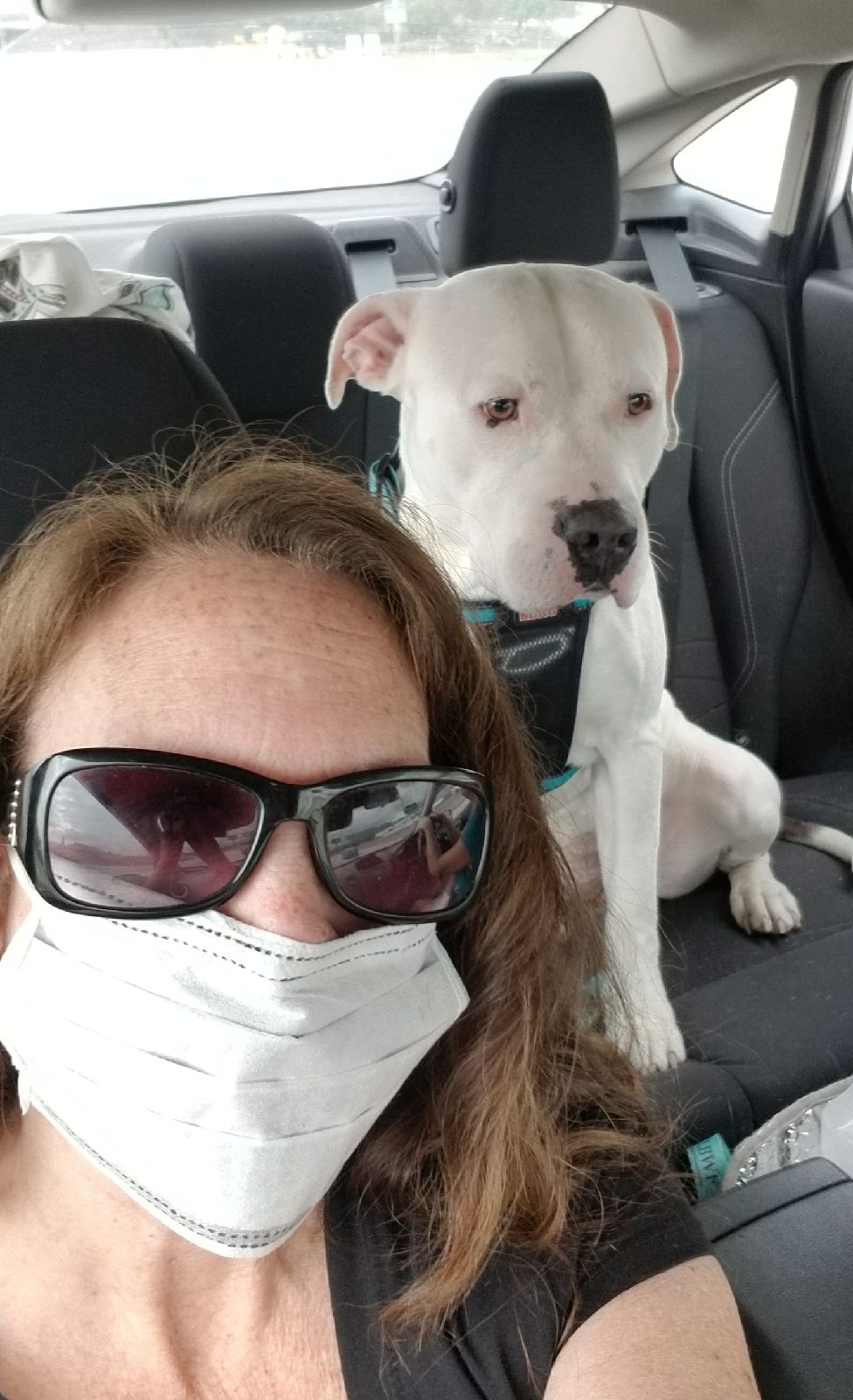 Local Trusted Pet Sitter in Los Angeles Fetch Pet Care