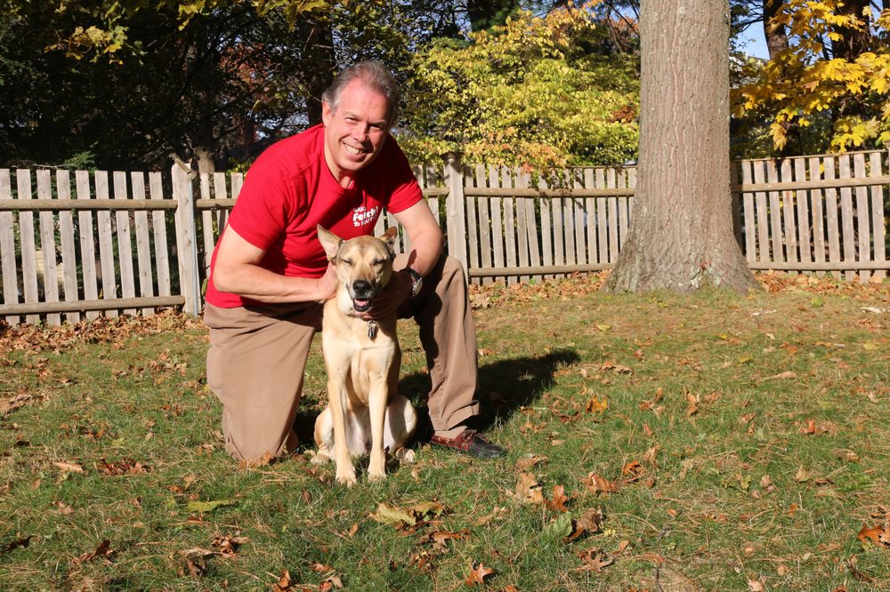 Skilled Pet Sitters and Dog Walkers in Greater Boston
