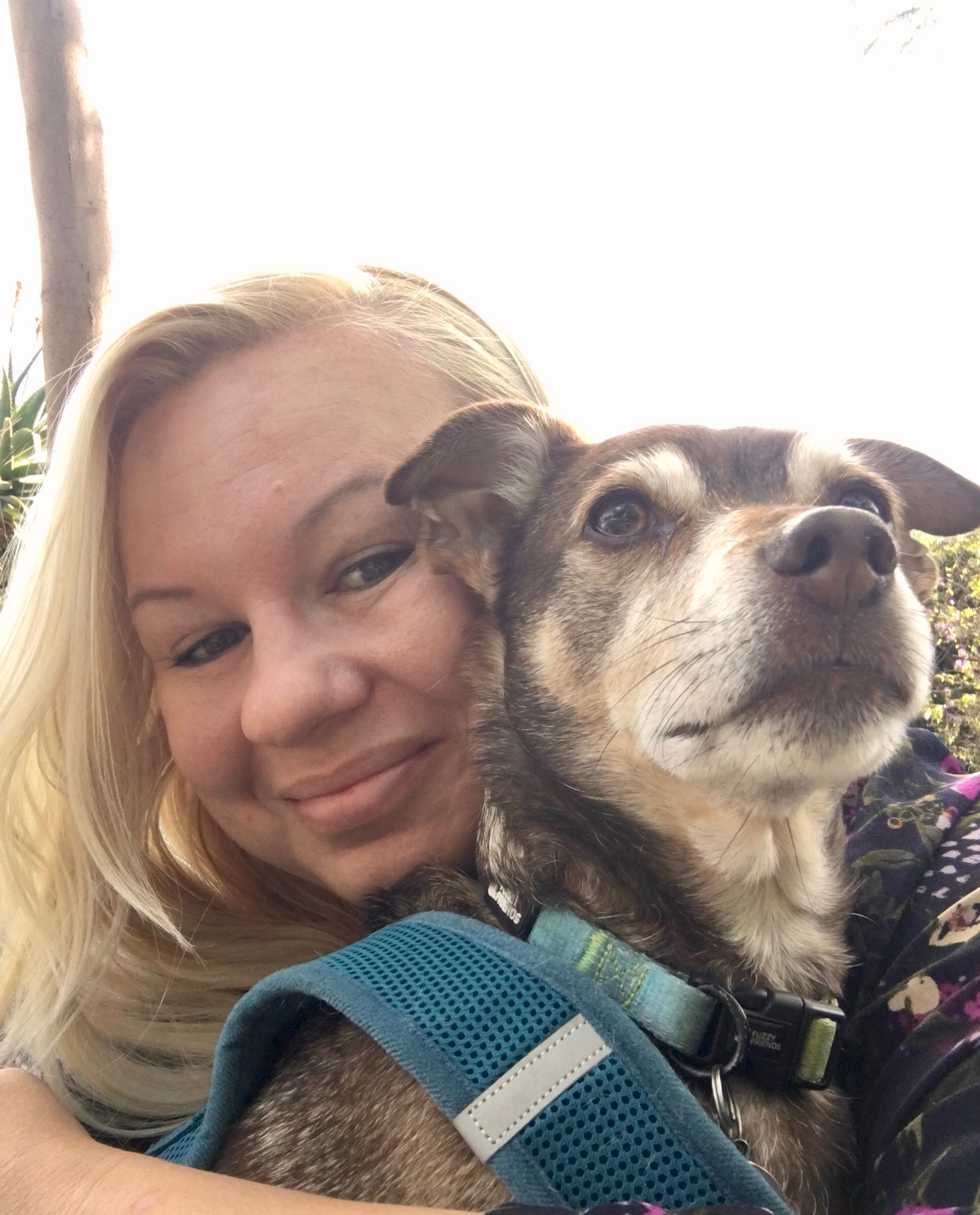 North Hollywood Pet Sitter