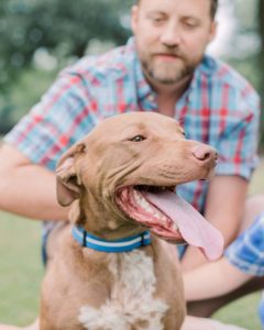 Our rescue Obi
