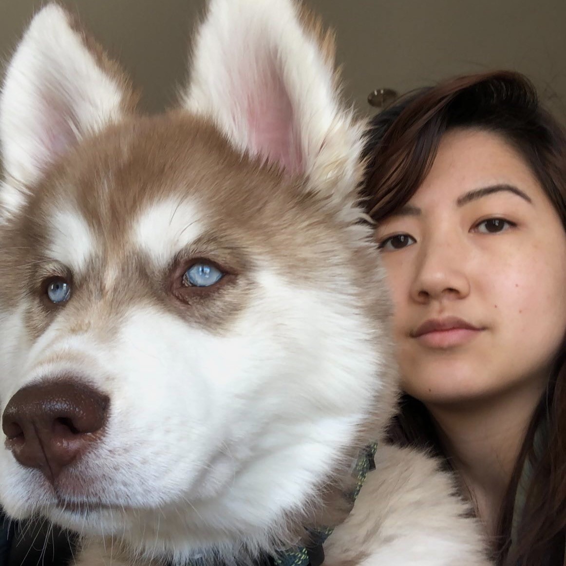Pet Sitter