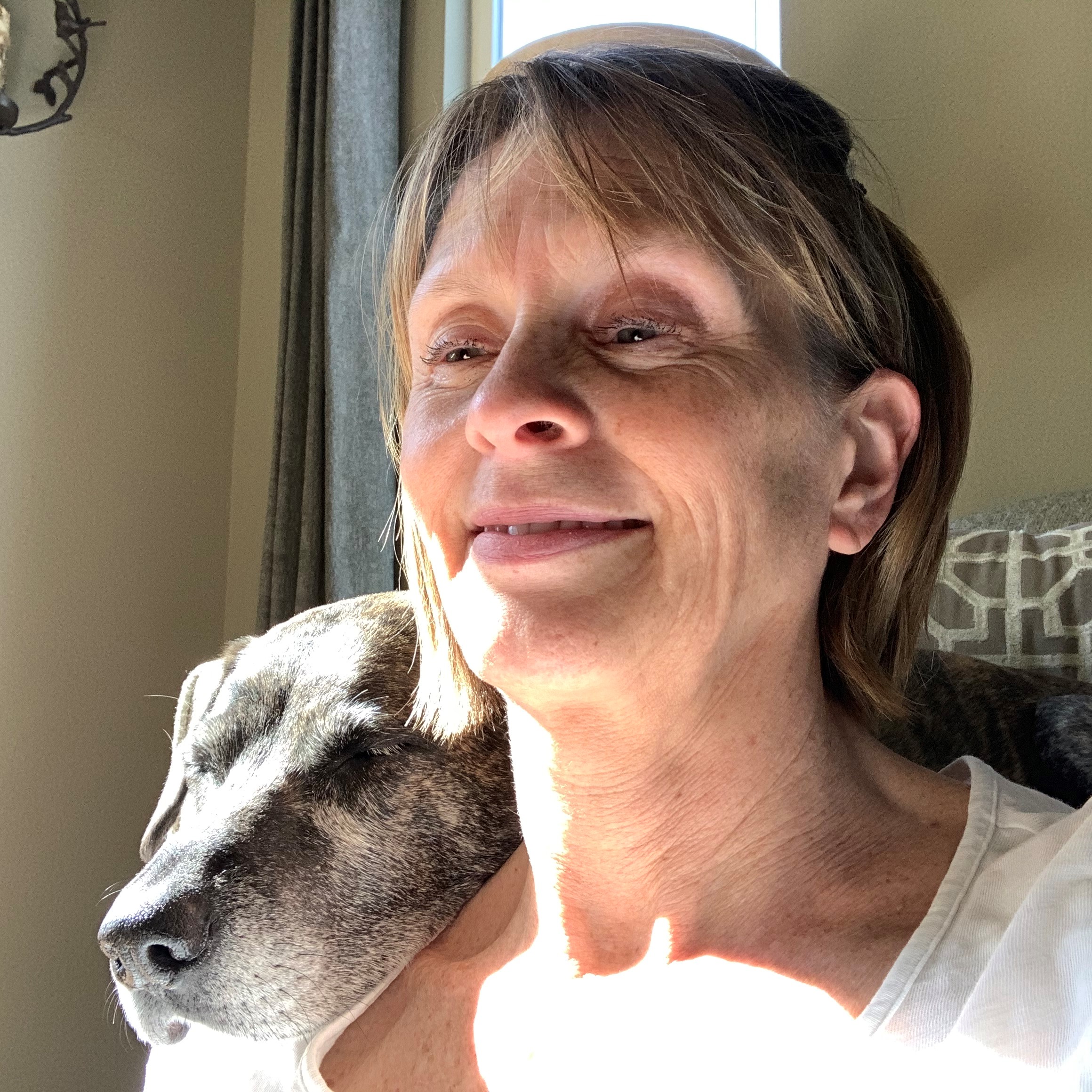 Pet Sitter