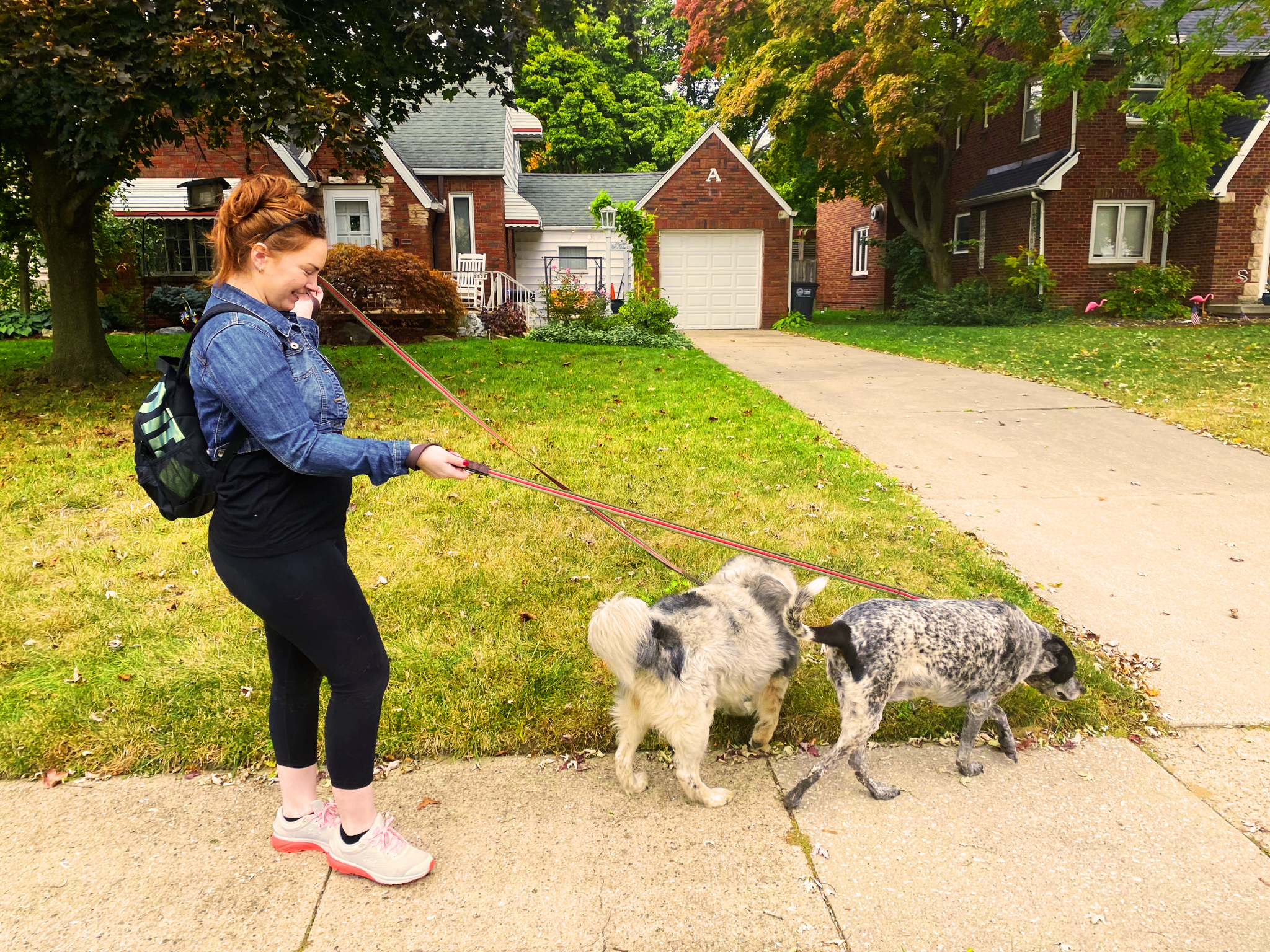 Jennifer Miller, pet sitter, dog walker in Toledo, Ohio