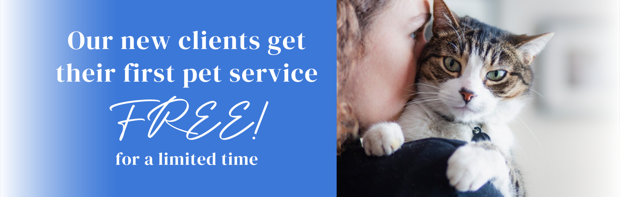 Pet Sitting and Dog Walking Services in West Orlando