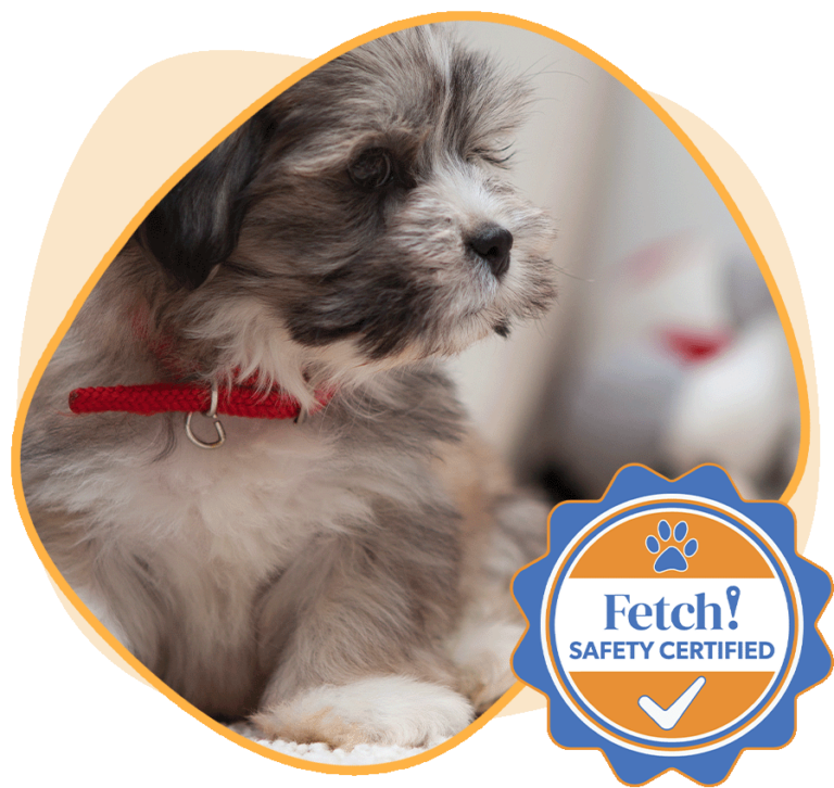 Fetch! Pet Care InHome PuppySitting Services
