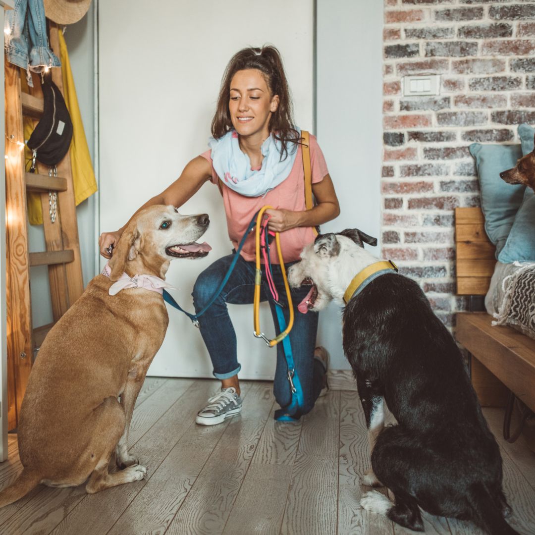 Why Choose Fetch! Pet Care in North Arlington Fetch! Pet Care