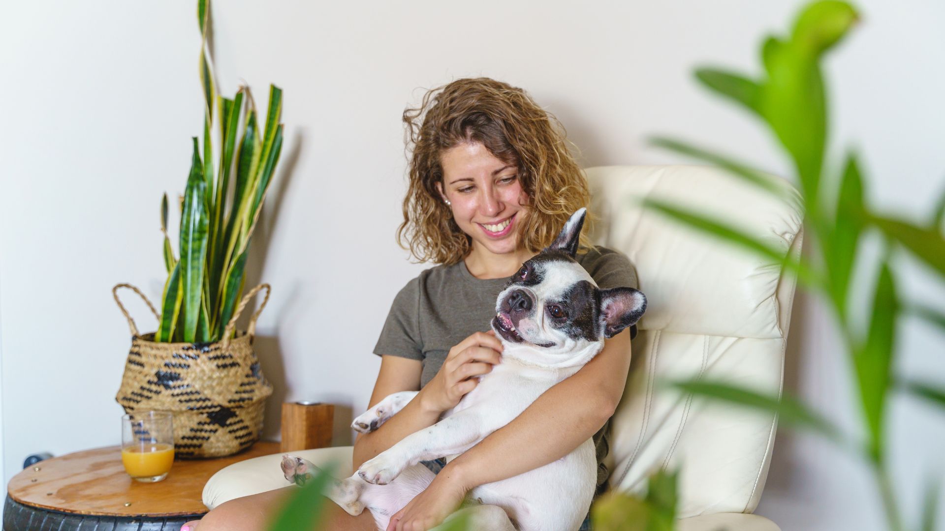 Blog Page 5 of 49 Fetch! Pet Care