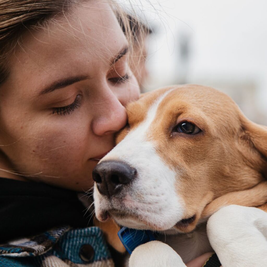 PetSitting Services in Dallas & McKinney, TX Fetch! Pet Care