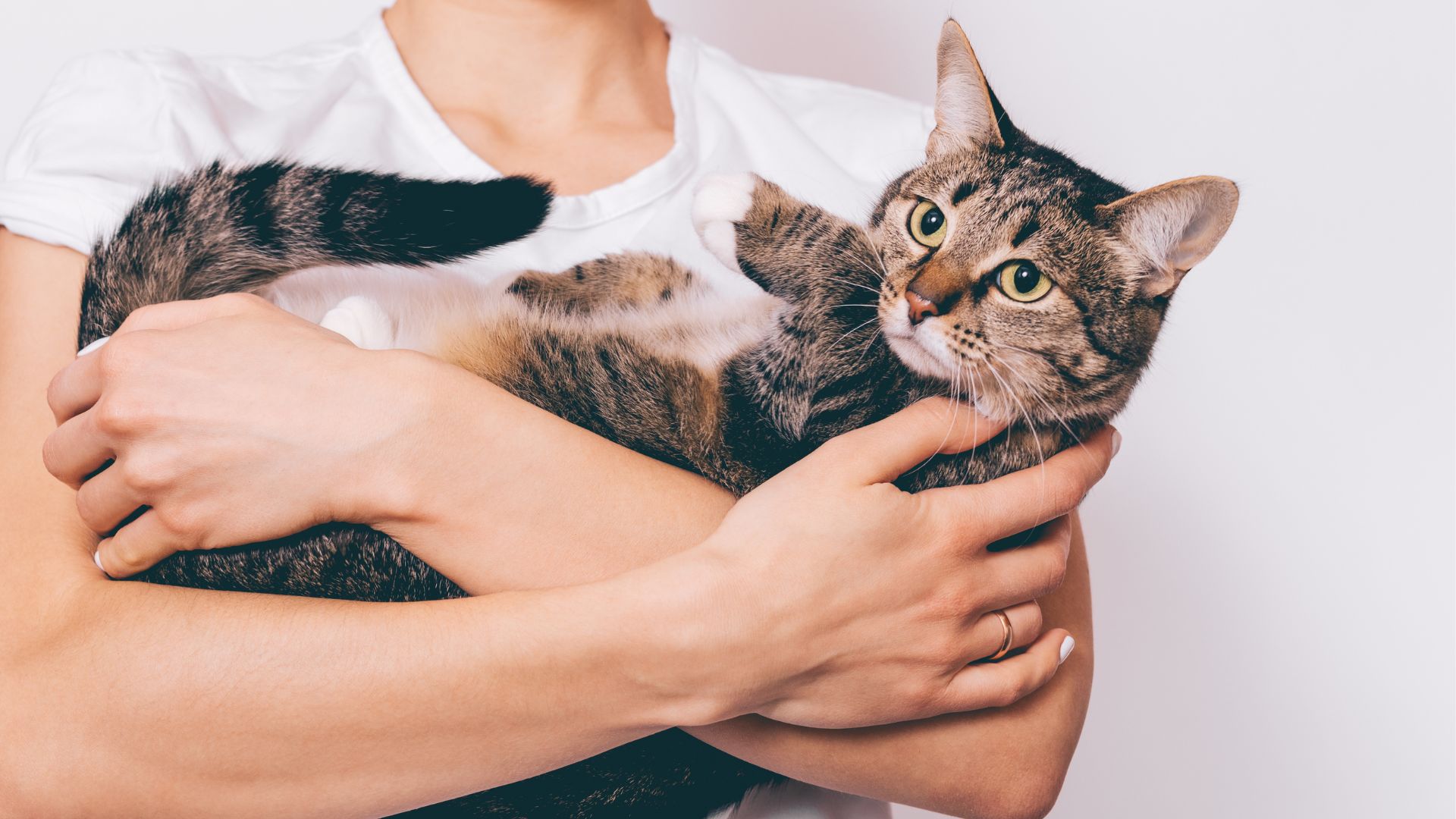 Fetch! Pet Care The Best Pet Sitter in Richmond West