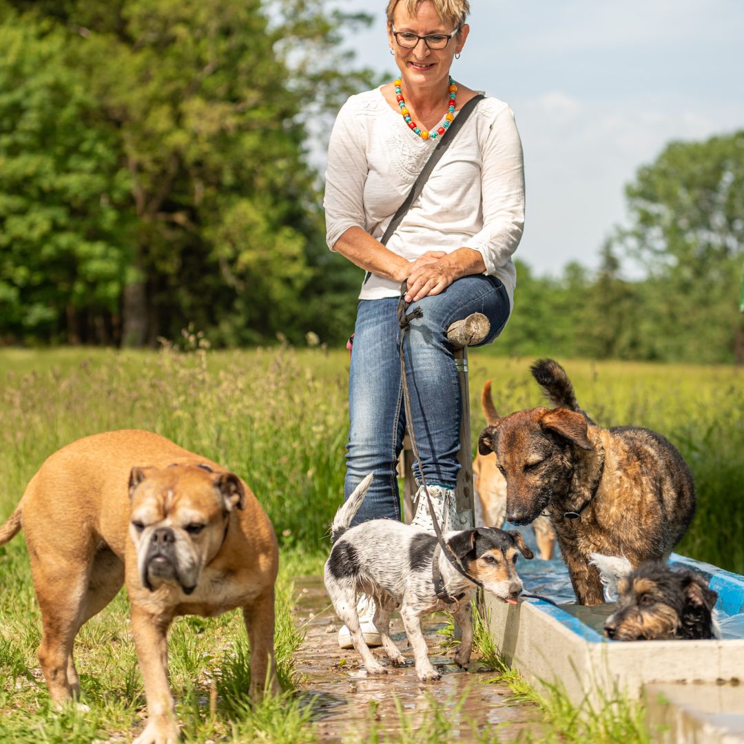 Find the Best Dog Walking Service in Buffalo Grove - Fetch! Pet Care - Private Dog Walking And Hiking Services