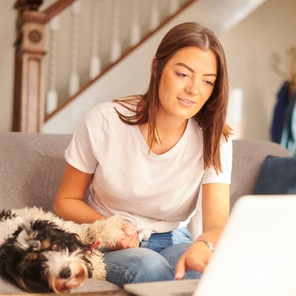 Tips for Choosing the Right Pet Sitter in Dallas Fetch! Pet Care